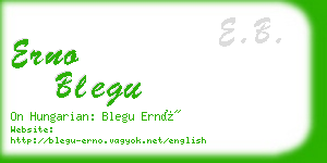 erno blegu business card